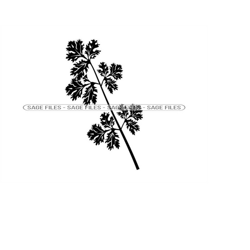 MR-610202317209-cilantro-svg-herb-svg-vegetable-svg-cilantro-clipart-image-1.jpg