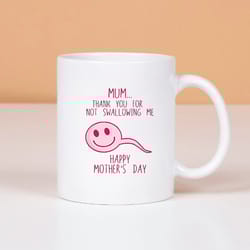 thank you for not swallowing me mug, happy mothers day mug