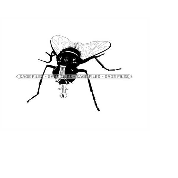Fly Insect Svg Fly 2 SVG, Fly Svg, Flies Svg, Insect Svg, Fly Clipart, Fly - Inspire ...