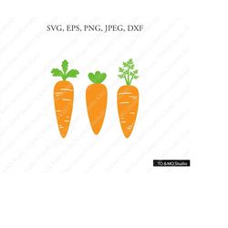 carrot svg, easter svg, easter egg svg, easter bunny svg, bunny svg, egg svg, easter svg, cricut, silhouette cut file ch