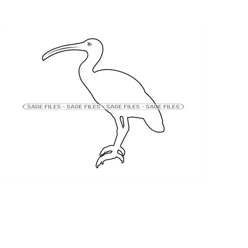 MR-6102023175323-ibis-outline-svg-ibis-svg-bird-svg-ibis-clipart-ibis-files-image-1.jpg