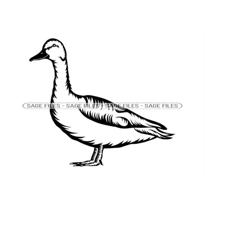 MR-6102023175553-mallard-duck-svg-wild-duck-svg-mallard-svg-duck-clipart-image-1.jpg