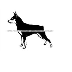 miniature pinscher svg, dog svg, miniature pinscher clipart, miniature pinscher files for cricut, cut files for silhouet
