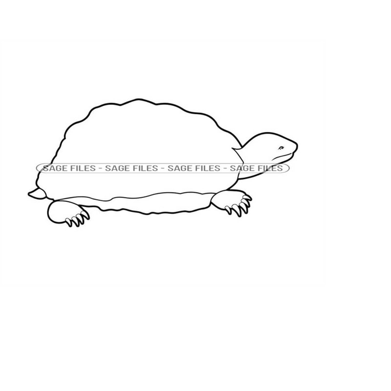 MR-610202318439-turtle-outline-3-svg-turtle-svg-tortoise-svg-turtle-image-1.jpg