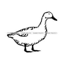 duck 5 svg, duck svg, duck clipart, duck files for cricut, duck cut files for silhouette, png, dxf
