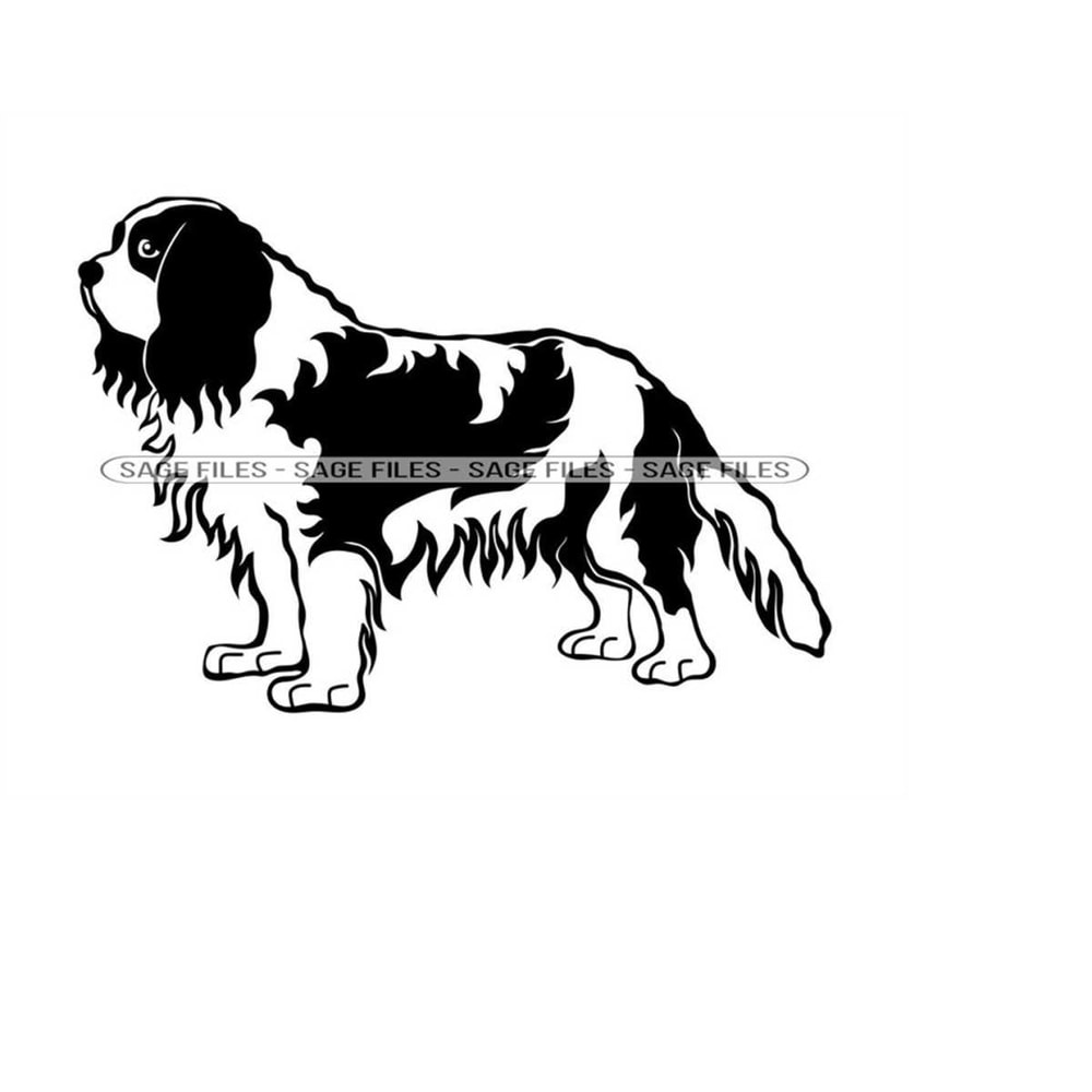 MR-610202318367-cavalier-king-charles-spaniel-svg-dog-svg-cavalier-king-image-1.jpg