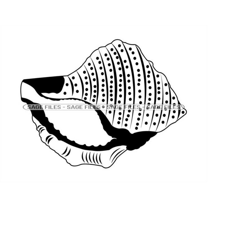 MR-6102023183916-seashell-5-svg-sea-shell-svg-nautical-svg-ocean-svg-image-1.jpg