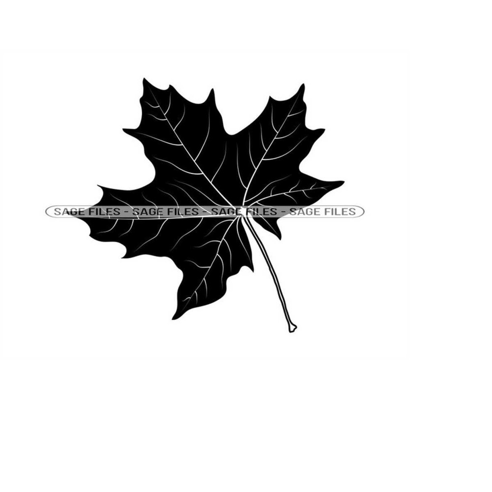MR-6102023184319-maple-leaf-2-svg-leaf-svg-autumn-svg-maple-leaf-clipart-image-1.jpg