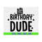 MR-6102023185226-birthday-dude-svg-birthday-boy-svg-birthday-svg-birthday-image-1.jpg