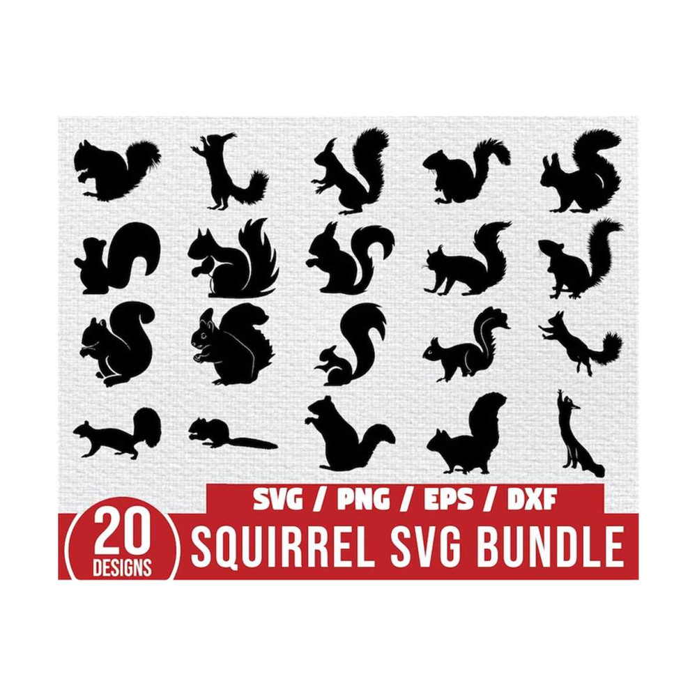 MR-6102023192023-squirrel-svg-bundle-squirrel-cut-file-squirrel-clipart-image-1.jpg