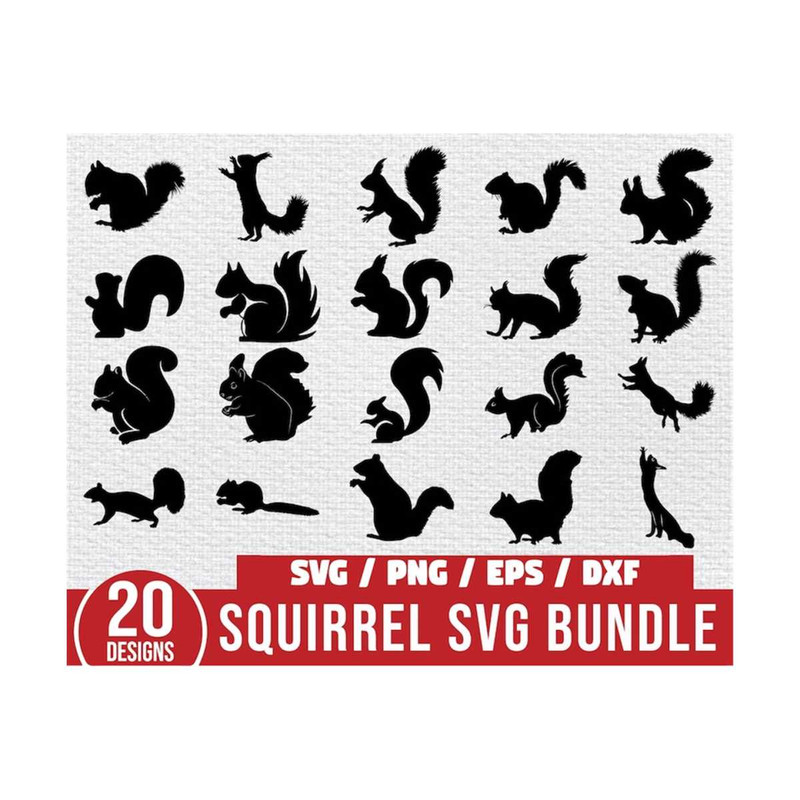 MR-6102023192023-squirrel-svg-bundle-squirrel-cut-file-squirrel-clipart-image-1.jpg
