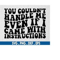 you couldn't handle me even if i came with instructions svg, confident svg,petty svg, strong women svg, girl boss svg, m
