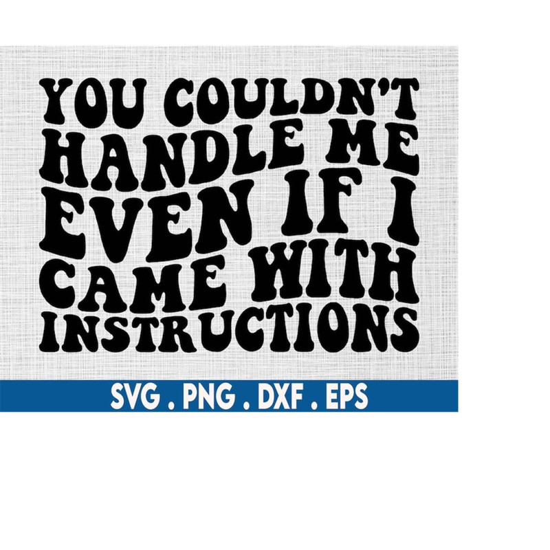 MR-6102023192430-you-couldnt-handle-me-even-if-i-came-with-instructions-image-1.jpg