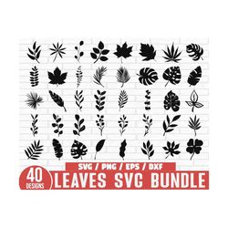 leaves svg bundle, hand drawn leaves svg, tropical leaves svg, monstera leaf svg, leaves dividers svg, plant svg, leaves