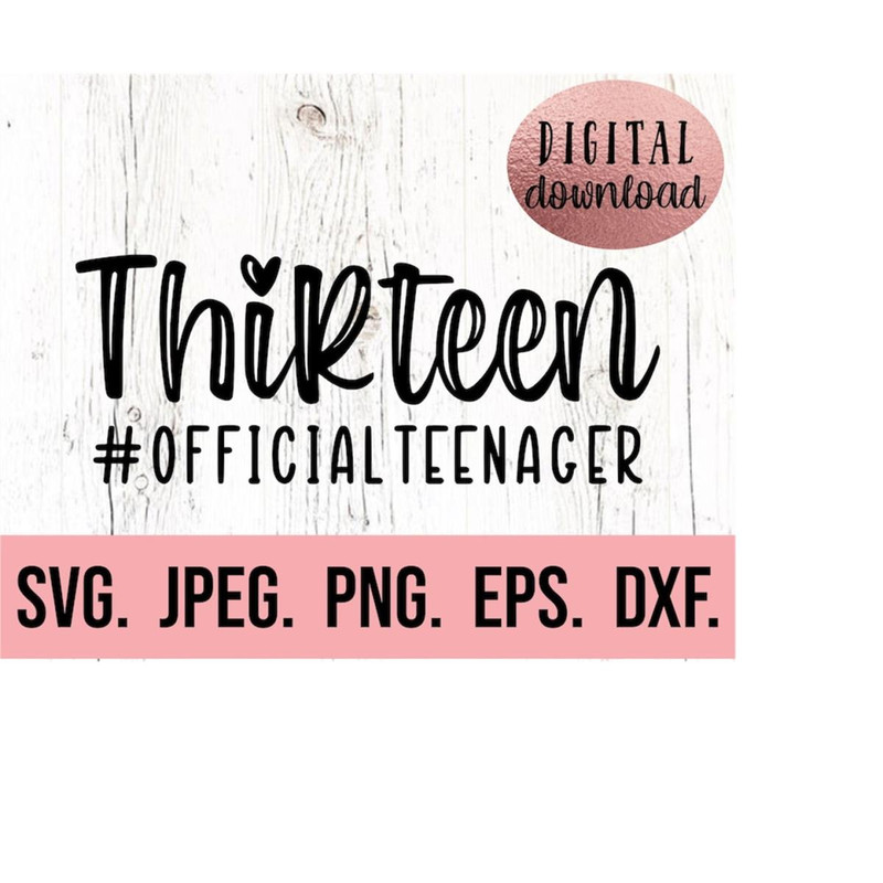 MR-6102023194629-thirteen-svg-13th-birthday-svg-official-teenager-png-image-1.jpg