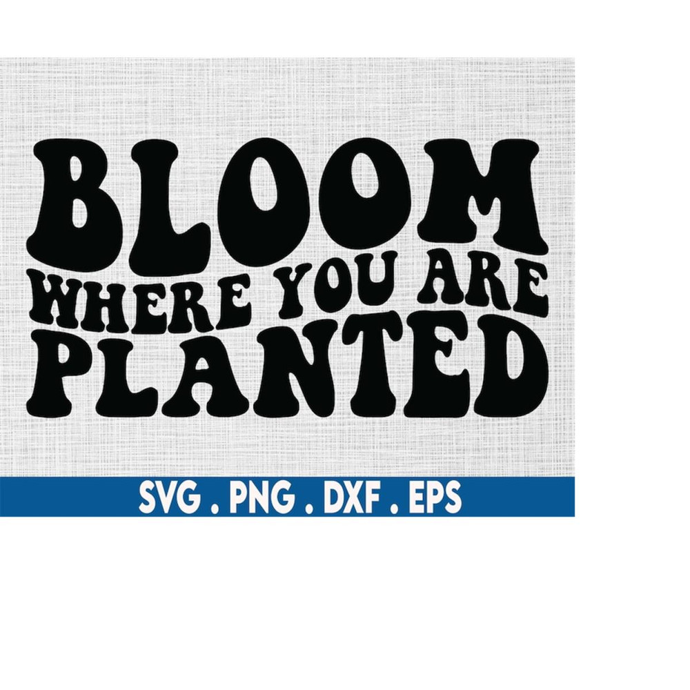 MR-6102023202939-bloom-where-you-are-planted-svg-mental-health-svg-bloom-svg-image-1.jpg