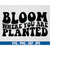 MR-6102023202939-bloom-where-you-are-planted-svg-mental-health-svg-bloom-svg-image-1.jpg
