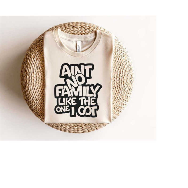 MR-610202321166-aint-no-family-like-the-one-i-got-svg-png-family-love-svg-image-1.jpg