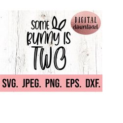 some bunny is two svg - birthday bunny svg - 2nd birthday shirt - digital download - birthday girl design - two birthday