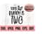 MR-610202323540-some-bunny-is-two-svg-birthday-bunny-svg-2nd-birthday-image-1.jpg