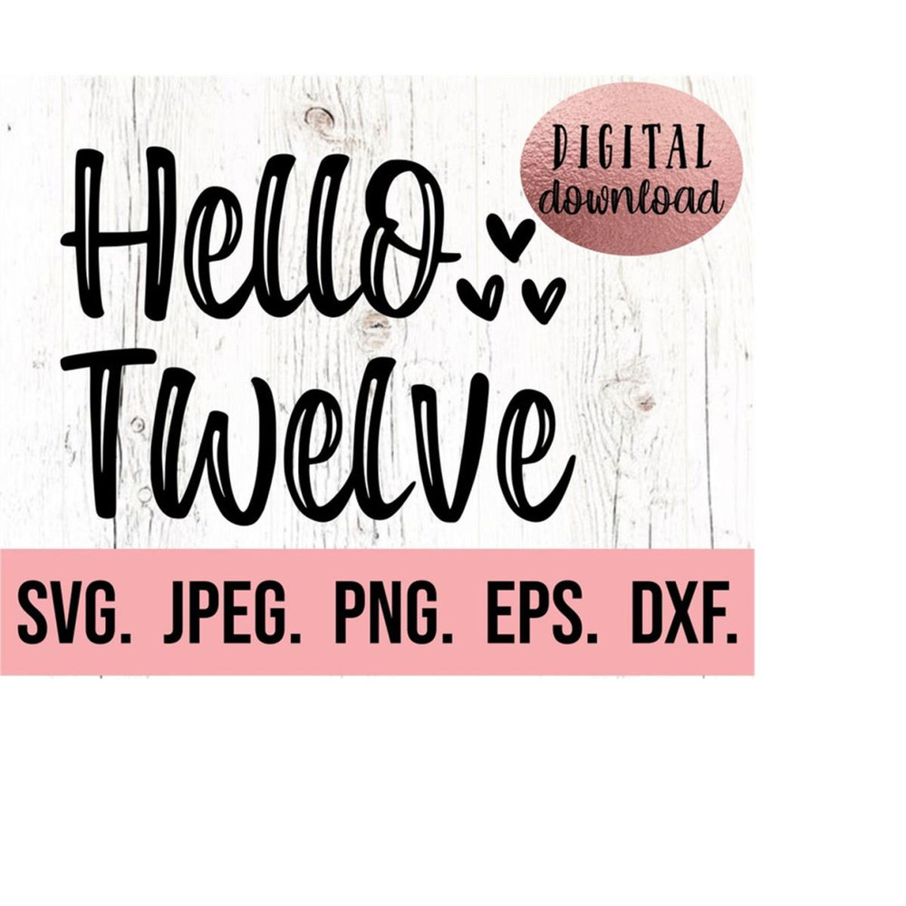 MR-710202301222-hello-twelve-svg-twelve-fabulous-svg-twelve-birthday-image-1.jpg