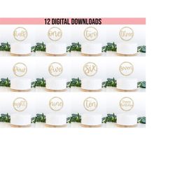 cake topper birthday girl svg bundle - first birthday girl svg - instant download - png jpeg - cricut file - birthday gi