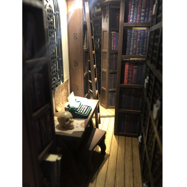 assembled-Book-nook-bookshelf-insert-gothic-library-with-raven-and-skull-Bookshelf-Diorama-Finished-booknook-Miniature-bookish-decor-10.JPG