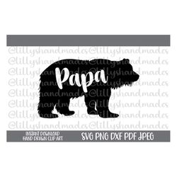 papa bear svg, papa bear png, papa svg, papa png, papa bear shirt svg, papa bear mug svg, daddy bear svg, dad svg, fathe
