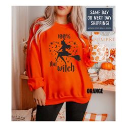 witchy woman sweatshirt, halloween shirt, halloween witches shirt, halloween party tee, woman's halloween, funny hallowe
