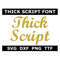 MR-7102023143430-script-font-svg-ttf-fancy-script-font-alphabet-thick-image-1.jpg