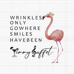 wrinkles only go where smiles have been jimmy buffet flamingo png, cute flamigo png, flamigo png