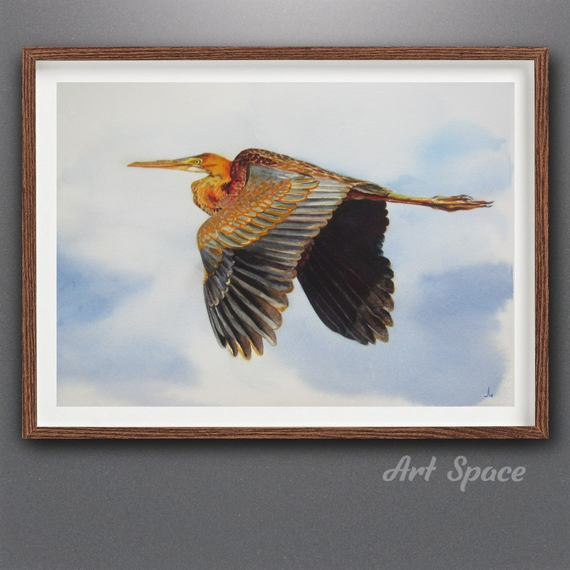 heron - bird - animal - red heron - sky - nature - painting - watercolor painting - 2.jpg