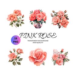 watercolor pink roses clipart - pastel roses and leaves in png format instant download for commercial use
