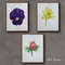 flowers - plants - red anemone flower, narcissus flower, viola flower - set of paintings - blue painting - watercolor painting - 5.jpg