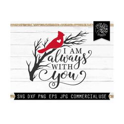 cardinal svg, memorial svg, i am always with you, remembrance svg, cardinal on branch svg, grief loss love one svg, red
