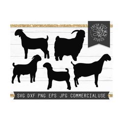 goat svg, show goat svg cut file instant download, boer goat svg livestock svg, billy goat svg, nubian show goat, angora