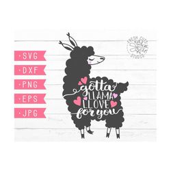 llama valentine svg, llama valentines day svg cut file, gotta llama llove, valentine animal svg, alpaca valentine, cricu