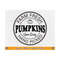 MR-810202305756-fall-svg-farm-fresh-pumpkins-svg-pumpkin-svg-file-fall-image-1.jpg