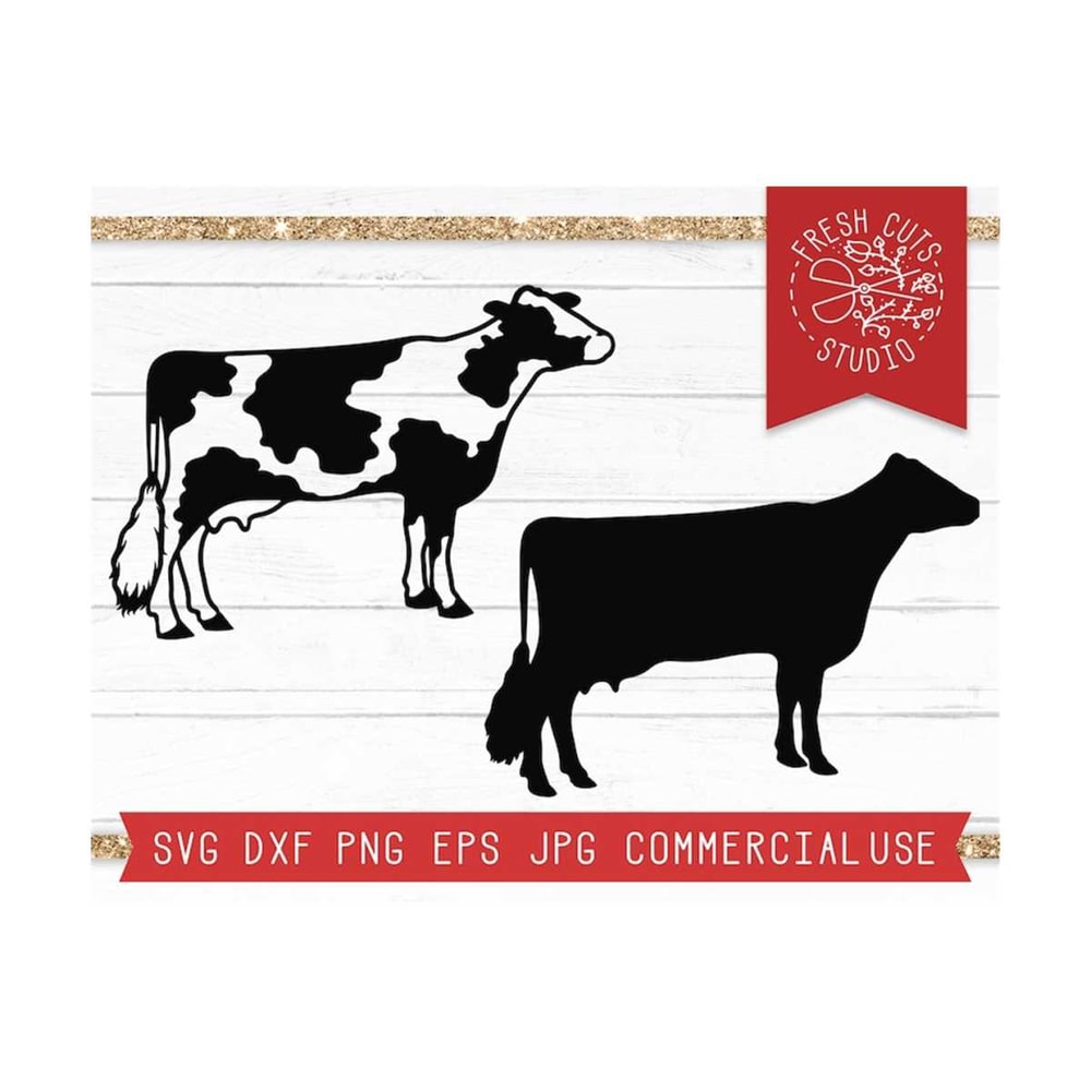 MR-81020231824-cow-svg-instant-download-dairy-cow-cut-file-for-cricut-cow-image-1.jpg