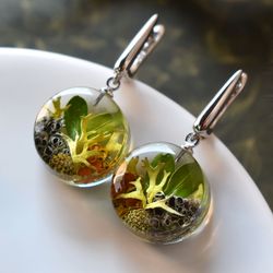 Real lichen earrings. Earrings with lichen. Real lichen in resin.