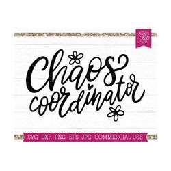 chaos coordinator svg, funny quote svg, funny mom saying, teacher svg, funny teacher quote, daycare, nurse svg, babysitt