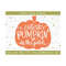 MR-81020233108-cutest-pumpkin-in-the-patch-svg-pumpkin-cut-files-instant-image-1.jpg