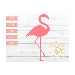 pink flamingo svg silhouette designs, instant download, tropical vacation pink flamingo bird dxf vector files for cuttin