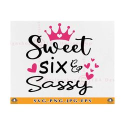 sweet six & sassy svg, 6th birthday svg, sixth birthday svg, 6 birthday shirt svg, birthday gifts svg, 6 years old,files