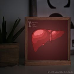 Shadow Box - "Liver" - Shadow Light box template (Digital SVG PDF) | DIY | Handmade | 3D Papercraft