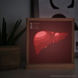 shadow box - "liver" - shadow light box template (digital svg pdf) | diy | handmade | 3d papercraft