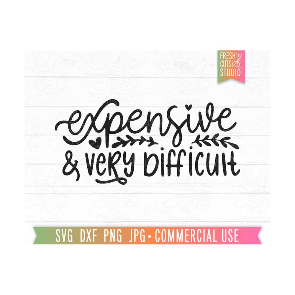 MR-81020234255-expensive-and-very-difficult-svg-sassy-quote-cut-file-image-1.jpg