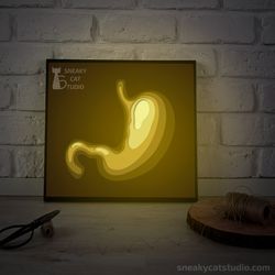 shadow box - "stomach" - shadow light box template (digital svg pdf) | diy | handmade | 3d papercraft