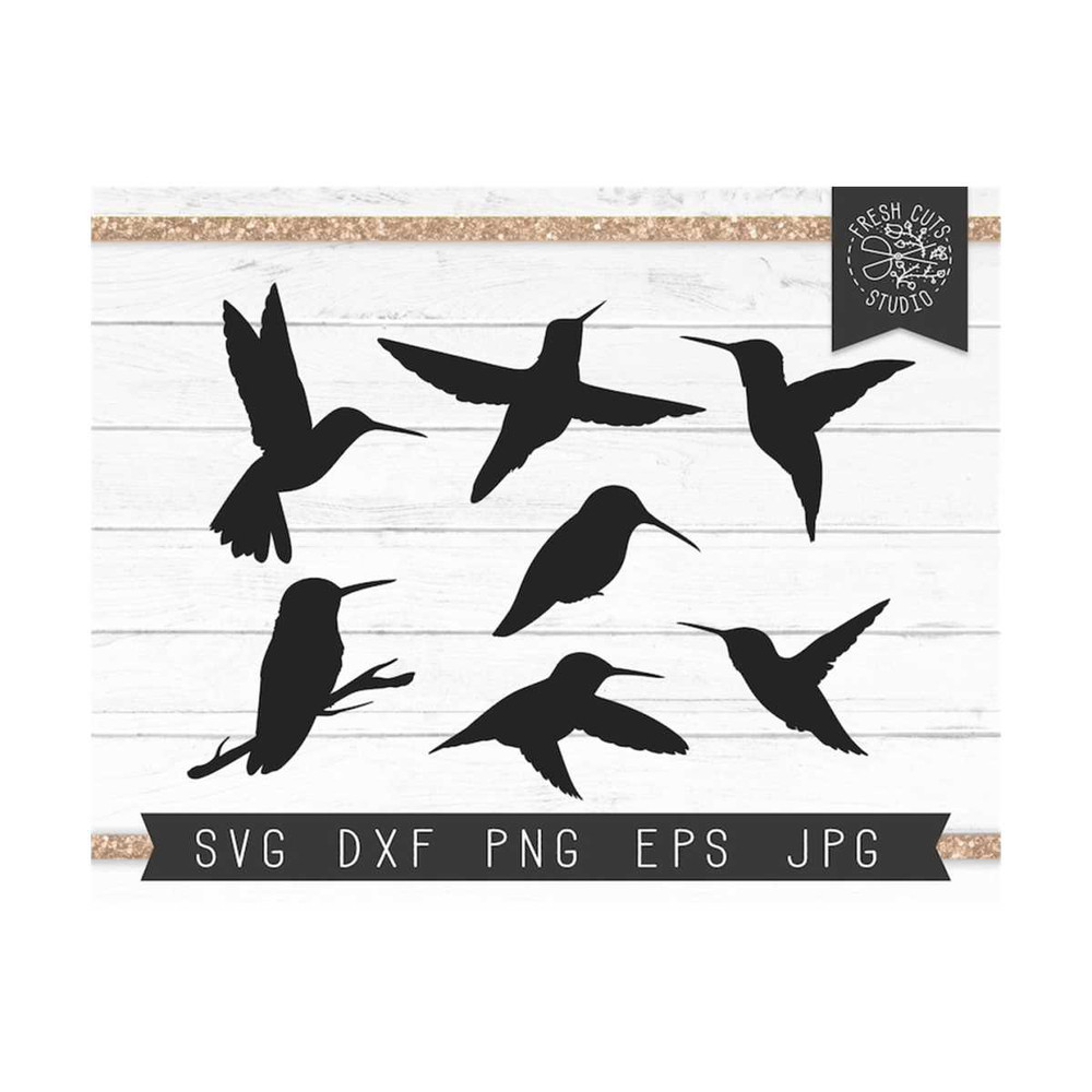 MR-81020234598-hummingbird-svg-file-instant-download-hummingbird-image-1.jpg