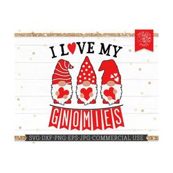 valentine gnomes svg, i love my gnomies cut file for cricut, silhouette, gnomes with hearts, valentine shirt design, lay